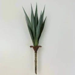 Aloe Pick Kilian grün