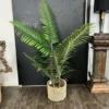 Areca Palme künstlich getopft
