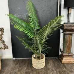 Areca Palme künstlich getopft