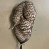 Baobab Frucht medium “Vein” 5er Beutel