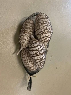 Baobab Frucht medium “Vein” 5er Beutel
