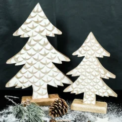 Baum Mangoholz mit Holzfuß