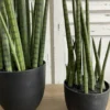 BOTANICA künstliche Topfpflanze