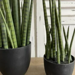 BOTANICA künstliche Topfpflanze