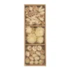 Box exotic Trockenblumen