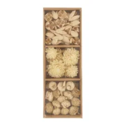 Box exotic Trockenblumen