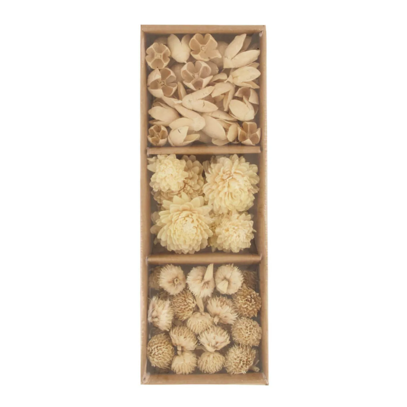 Box exotic Trockenblumen