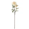 Chrysantemum Stiel cremig weiß