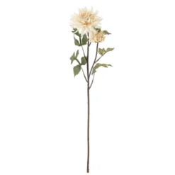 Chrysantemum Stiel cremig weiß