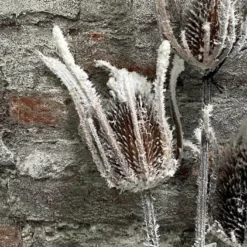 Distel Strauch weiß/braun