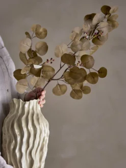 Eucalyptus Stiel braun
