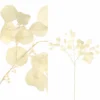 Eukalyptus Zweig cream