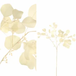 Eukalyptus Zweig cream