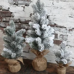 Fichtenbaum mit Schnee