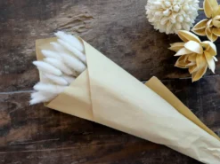 Fleur getrocknete Lagurusblumen