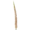 Foxtail Stiel Rosa