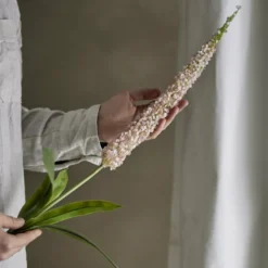 Foxtail Stiel Rosa