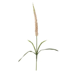 Foxtail Stiel Rosa