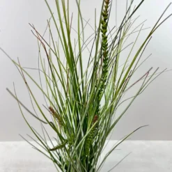 Gras “Dünen” künstlich L