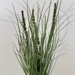 Gras “Dünen” künstlich S