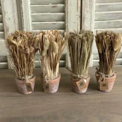 Gräser im Terracotta Topf