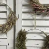 Hafer/Gras Loop