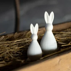 Hase Selma