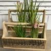 Holz Kiste “Fini” natur