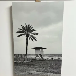 Holz Wandbild Strand Palme