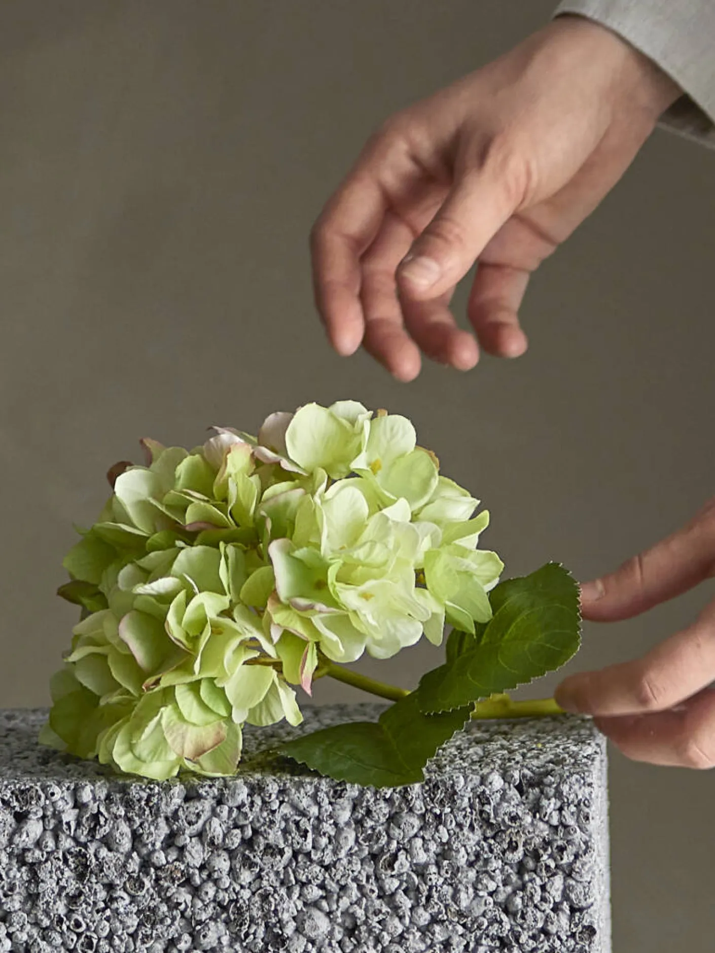 Hortensien Stiel 1 Blüte