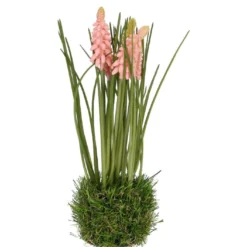 Hyazinthe auf Grasballen rosa