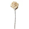 Hydrangea Stiel cremig weiß