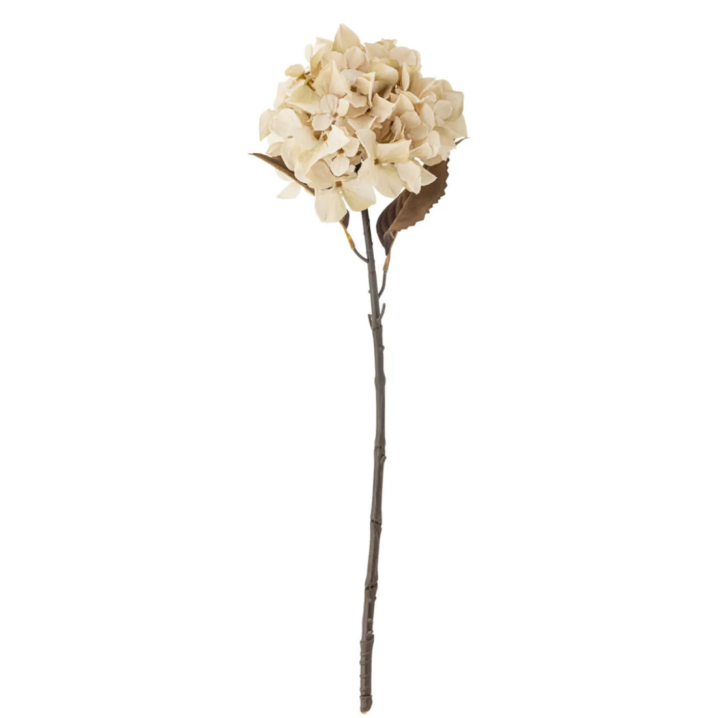Hydrangea Stiel cremig weiß