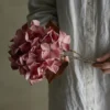 Hydrangea Stiel rose