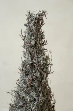 Kegelbaum grau