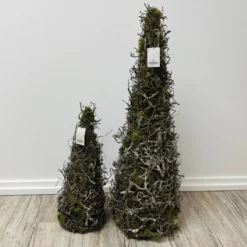 Kegelbaum natur