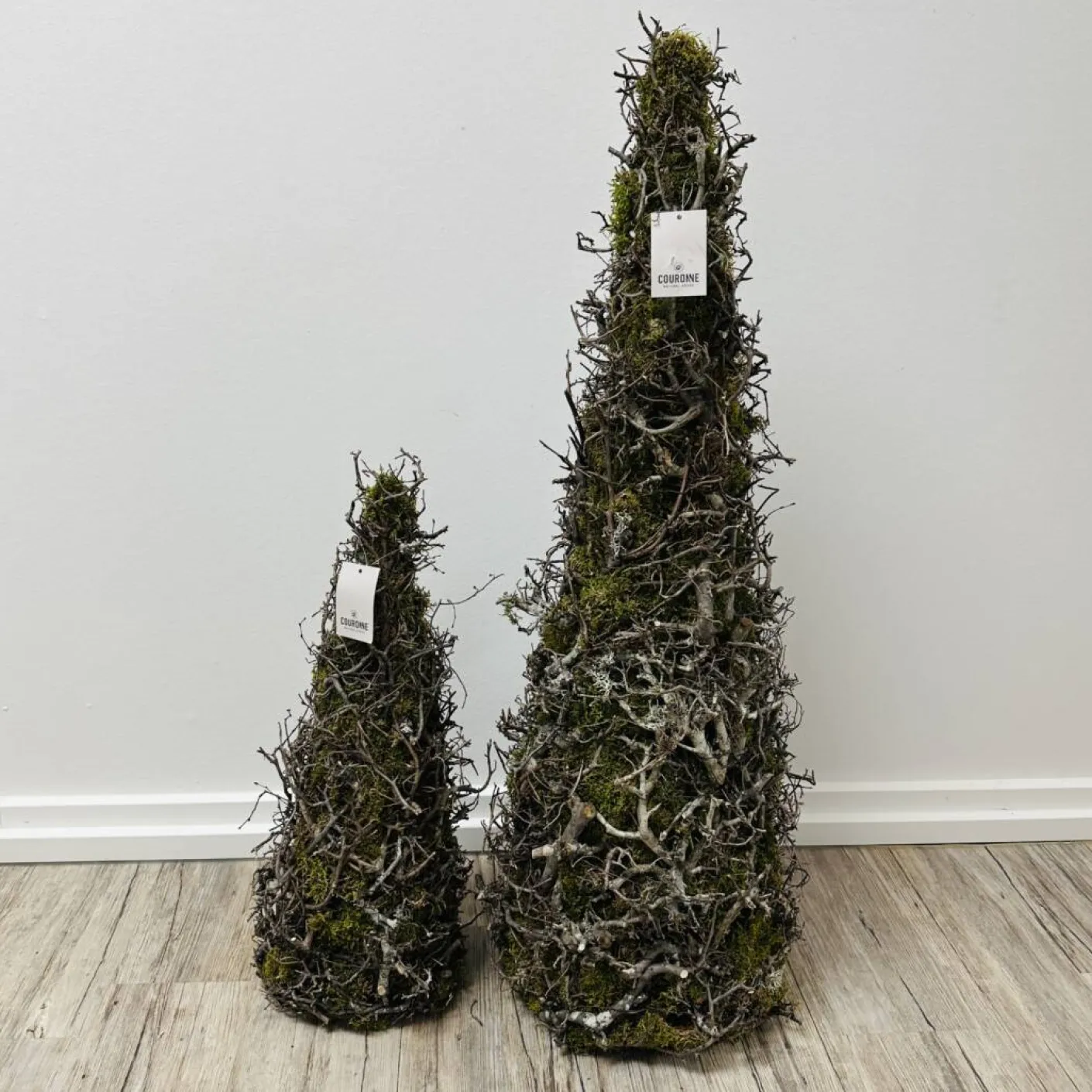 Kegelbaum natur