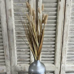 Lagurus Pick natur