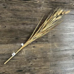 Lagurus Pick natur