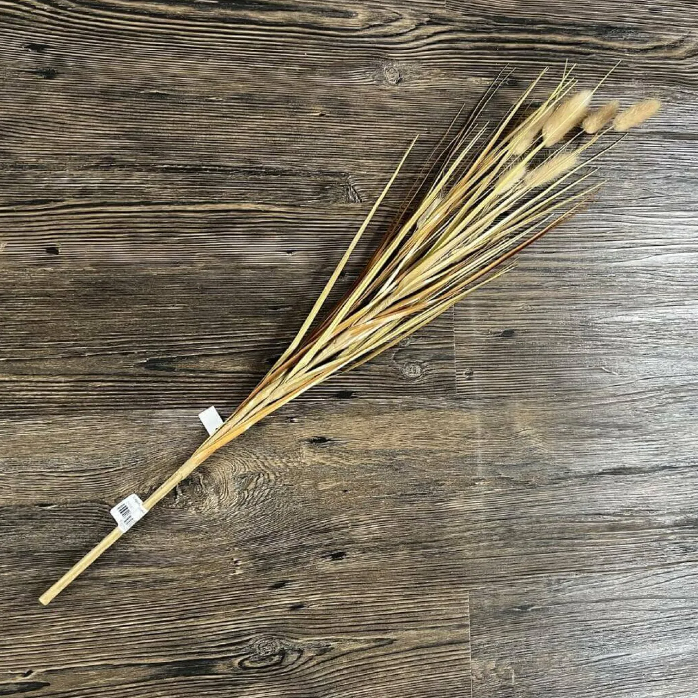 Lagurus Pick natur