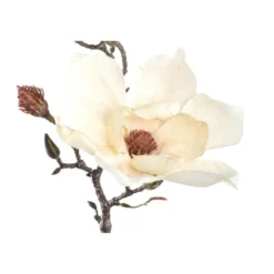 Magnolien Zweig cream