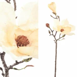 Magnolien Zweig cream