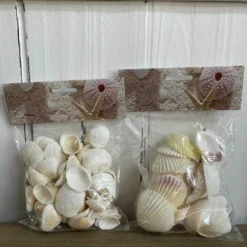 Muscheldeko Coquille