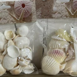Muscheldeko Coquille