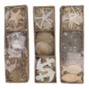 Muschel Mix