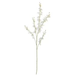 Orchid Stiel weiß
