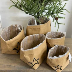 Papier Tasche Stern 5er-Set