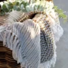 Plaid Baumwolle karamel