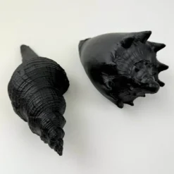 Poly Muschel Ignaz schwarz