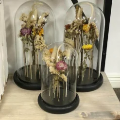 Rossa Glas mit Trockenblumen